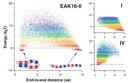 Self-Assembly of the Ionic Peptide EAK16: the effect of charge distributions on self-assembly